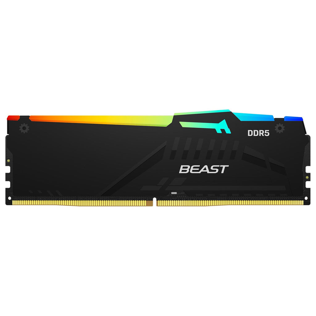 Beast Vengeance DDR5 16GB 32GB 64GB 48G 16G*2 32G*2 24G*2 32G*2 CL30 CL32 CL34 CL36 CL38 CL40 6400 6600 6800 8400 RGB Memory Ram