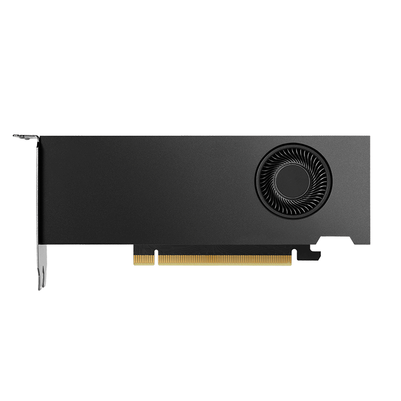 Nvidia Graphics Cards GPU NVIDIA RTX 2000 Ada Generation 16 GB GDDR6 with ECC
