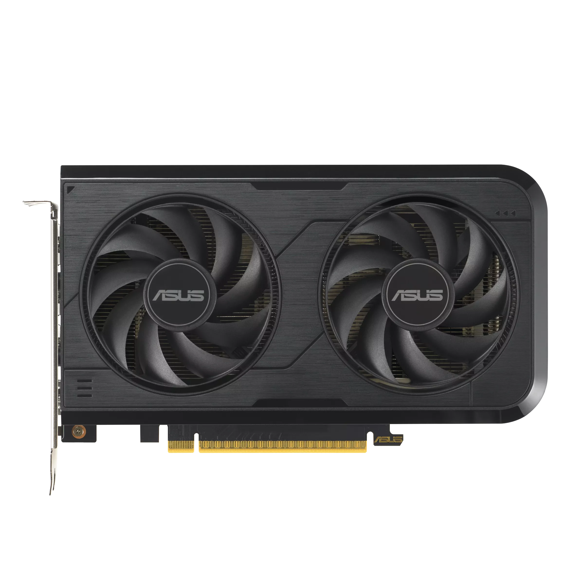 ASUS Graphics Card ASUS Prime GeForce RTX 5050 8GB GDDR6 OC Edition ASUS Dual GeForce RTX 5050 8GB GDDR6 OC Edition